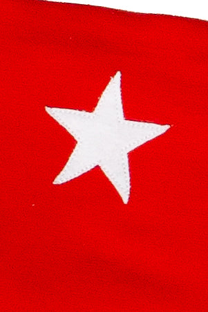 Star Patch Tube Top - Image 17