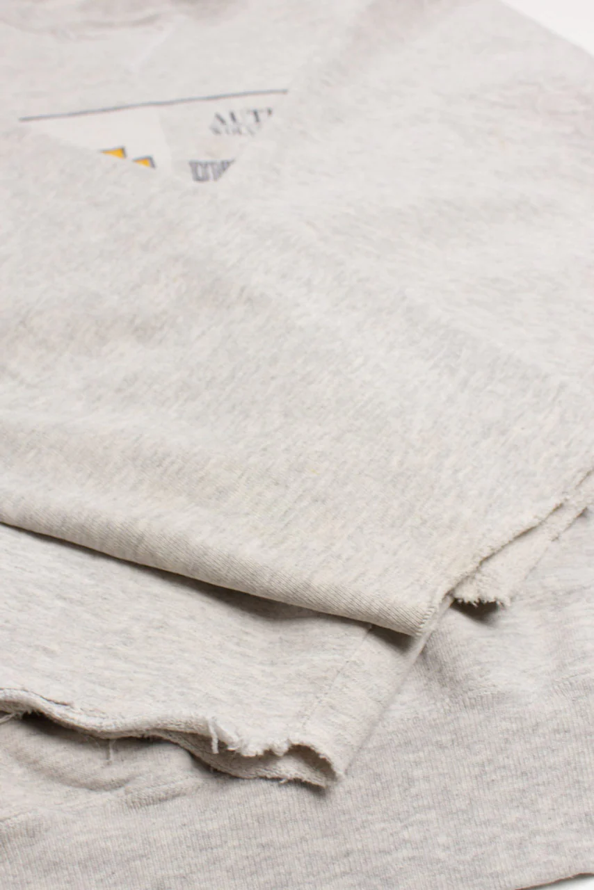 Vintage University Of Michigan Champion Sweatshirt (1990s) - Image 3